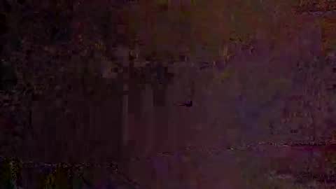 Snapshot of freelingling chatting on November 2025 08:18:01 AM freelingling online show from November 2025 08:18:01 AM