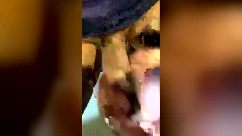 freestpeople online show from April 2026 01:55:02 AM