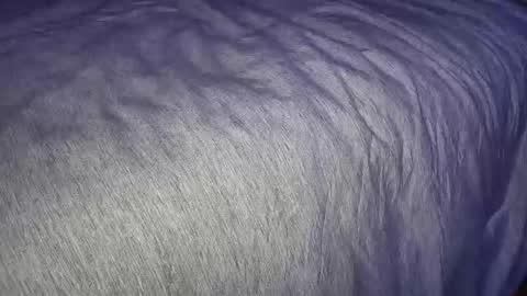 FreyaTheGemini online show from January 2025 03:46:01 AM