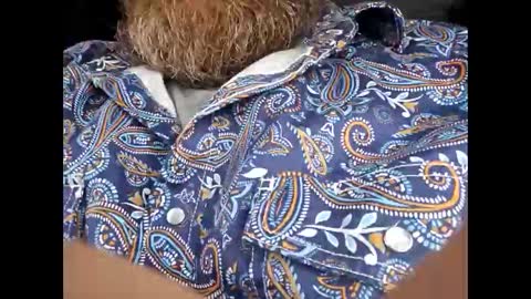 Snapshot of frickish chatting on January 2026 02:20:01 PM Frickish online show from January 2026 02:20:01 PM