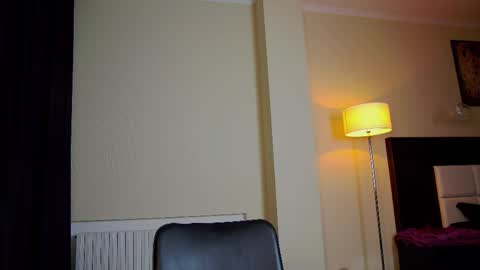 Snapshot of friend123211 chatting on March 2025 02:52:01 AM Viktor online show from March 2025 02:52:01 AM