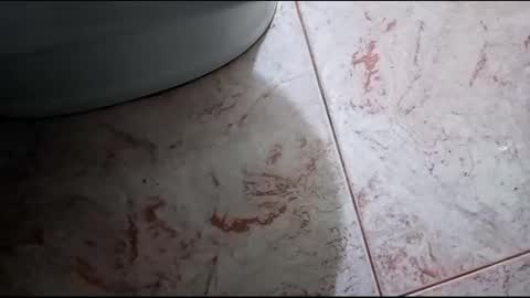 Snapshot of fronion chatting on February 2025 02:25:01 PM Hornycouple1386 online show from February 2025 02:25:01 PM