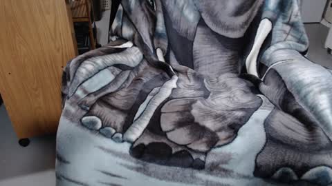 Snapshot of froy4989 chatting on January 2025 04:05:01 PM Froy4989 online show from January 2025 04:05:01 PM