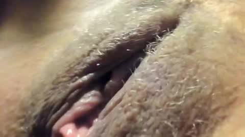 FrumCake online show from December 2024 12:32:02 AM