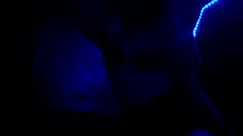 Snapshot of fu338208 chatting on October 2025 06:52:02 AM fu338208 online show from October 2025 06:52:02 AM