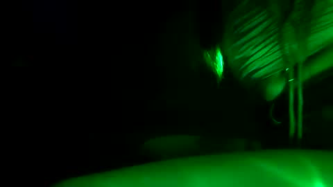 Snapshot of fu338208 chatting on October 2025 12:17:02 PM fu338208 online show from October 2025 12:17:02 PM