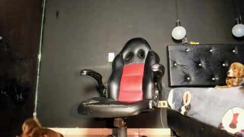 Ricardodominic 1   MODELO INDEPENDIENTE online show from May 2026 02:42:02 AM
