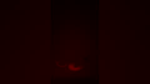 Snapshot of fuckmyassnowww21 chatting on April 2026 07:57:02 AM fuckmyassnowww21 online show from April 2026 07:57:02 AM