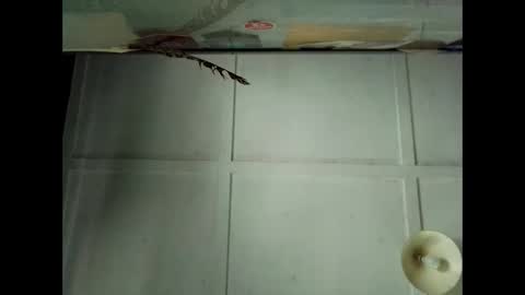 Snapshot of fucmebudoo chatting on October 2025 12:41:02 AM Warwick online show from October 2025 12:41:02 AM