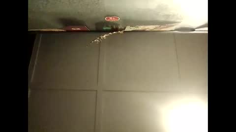 Snapshot of fucmebudoo chatting on October 2025 08:12:01 AM Warwick online show from October 2025 08:12:01 AM