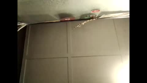 Snapshot of fucmebudoo chatting on October 2025 08:46:01 AM Warwick online show from October 2025 08:46:01 AM