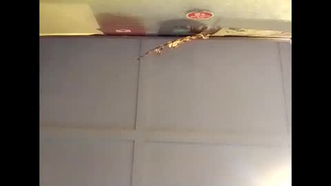 Snapshot of fucmebudoo chatting on October 2025 07:09:02 AM Warwick online show from October 2025 07:09:02 AM