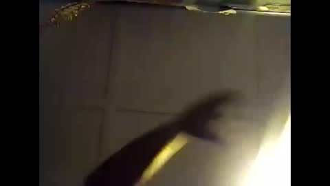 Snapshot of fucmebudoo chatting on October 2025 07:34:01 AM Warwick online show from October 2025 07:34:01 AM