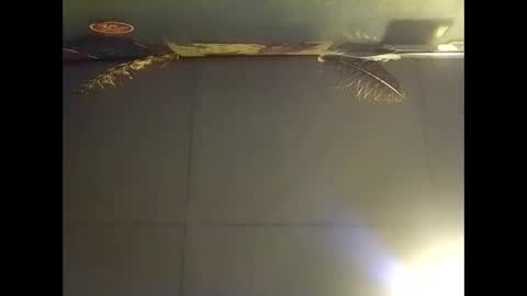 Snapshot of fucmebudoo chatting on November 2025 07:44:02 AM Warwick online show from November 2025 07:44:02 AM