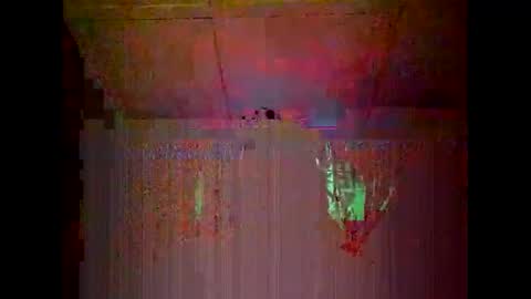 Warwick online show from January 2026 10:53:01 AM