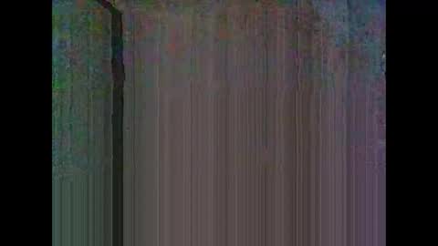 Warwick online show from February 2026 03:59:02 AM