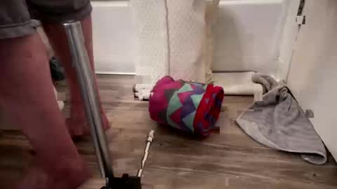 Snapshot of fukmyass247 chatting on October 2025 12:14:02 PM fukmyass247 online show from October 2025 12:14:02 PM