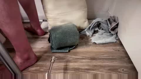 Snapshot of fukmyass247 chatting on October 2025 12:13:02 PM fukmyass247 online show from October 2025 12:13:02 PM