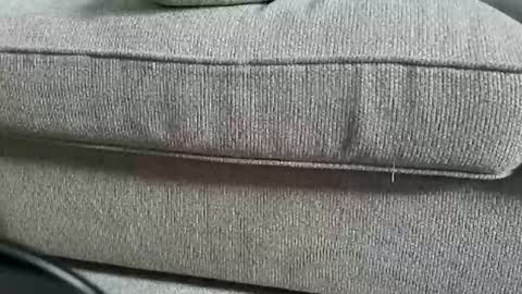 marklaura online show from September 2025 12:27:02 PM