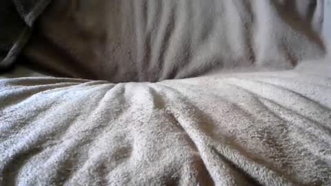 BigLoadsJoe online show from February 2025 06:58:02 PM