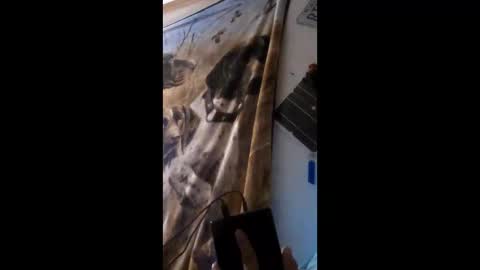 funinbed607918 online show from April 2026 02:36:01 AM