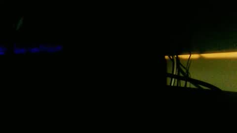 funwithdick7 online show from March 2026 08:59:02 PM