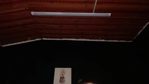 Snapshot of fyreandfox_ chatting on November 2025 06:56:02 PM FIRE AND FOX online show from November 2025 06:56:02 PM