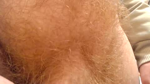 gae89tano online show from February 2025 07:56:01 AM