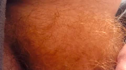 gae89tano online show from February 2025 10:20:02 AM