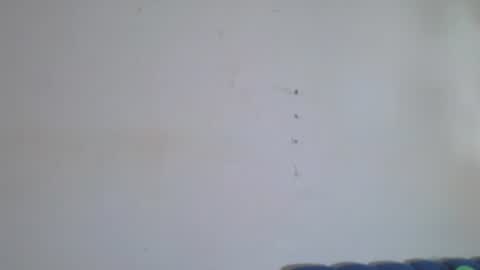 Snapshot of gael_david chatting on July 2026 04:36:02 AM Gael online show from July 2026 04:36:02 AM