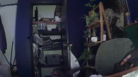 gagginfagin online show from February 2026 10:52:01 AM