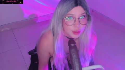 PROXIMO SHOW NOVIEMBRE 16   NEXT SHOW NOVEMBER  16    online show from December 2024 02:19:02 AM