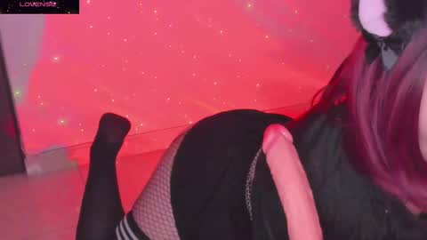 PROXIMO SHOW NOVIEMBRE 16   NEXT SHOW NOVEMBER  16    online show from January 2025 02:48:01 AM