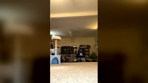 GalaxxyRose online show from June 2026 09:07:02 PM