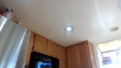 gangdrewski online show from March 2026 03:27:01 PM