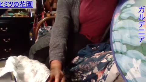 Snapshot of gardeniaspear chatting on December 2024 08:41:01 AM Gardenia online show from December 2024 08:41:01 AM