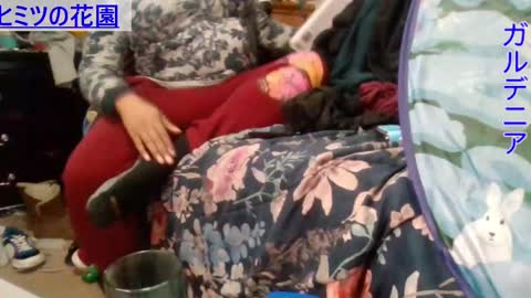 Snapshot of gardeniaspear chatting on December 2024 09:06:02 AM Gardenia online show from December 2024 09:06:02 AM