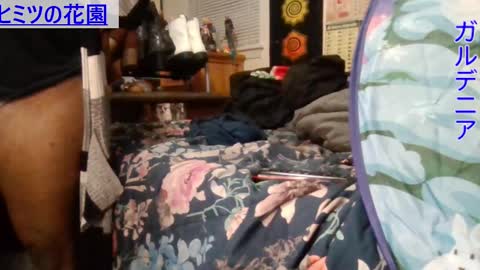 Snapshot of gardeniaspear chatting on December 2024 09:43:02 AM Gardenia online show from December 2024 09:43:02 AM