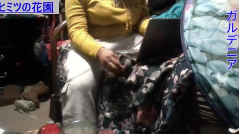 Snapshot of gardeniaspear chatting on December 2024 08:33:02 AM Gardenia online show from December 2024 08:33:02 AM