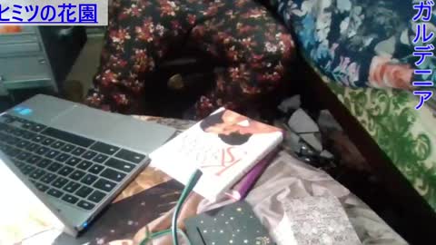 Snapshot of gardeniaspear chatting on December 2024 08:11:02 AM Gardenia online show from December 2024 08:11:02 AM