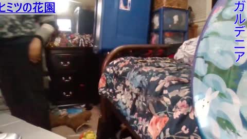 Snapshot of gardeniaspear chatting on December 2024 07:49:02 AM Gardenia online show from December 2024 07:49:02 AM