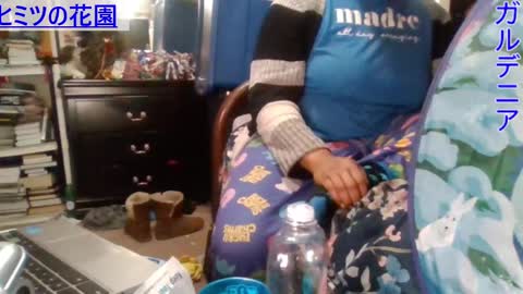 Snapshot of gardeniaspear chatting on December 2024 05:13:01 PM Gardenia online show from December 2024 05:13:01 PM