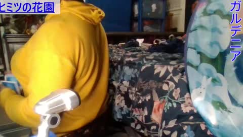 Snapshot of gardeniaspear chatting on December 2024 02:22:02 AM Gardenia online show from December 2024 02:22:02 AM