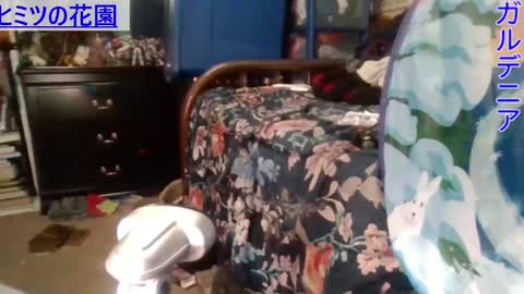 Snapshot of gardeniaspear chatting on December 2024 05:55:02 AM Gardenia online show from December 2024 05:55:02 AM