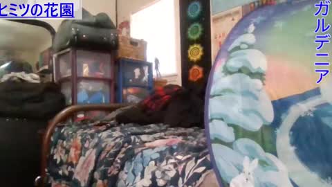 Snapshot of gardeniaspear chatting on January 2025 06:31:01 PM Gardenia online show from January 2025 06:31:01 PM