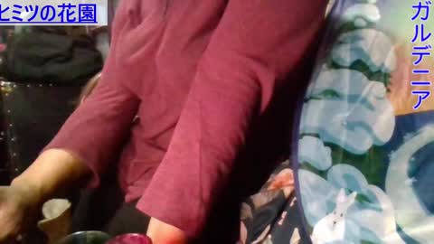 Snapshot of gardeniaspear chatting on January 2025 07:21:01 AM Gardenia online show from January 2025 07:21:01 AM