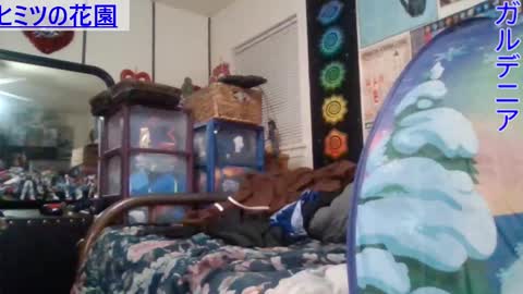 Snapshot of gardeniaspear chatting on January 2025 08:51:01 AM Gardenia online show from January 2025 08:51:01 AM