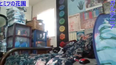 Snapshot of gardeniaspear chatting on February 2025 09:48:01 PM Gardenia online show from February 2025 09:48:01 PM