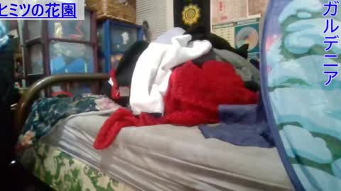 Snapshot of gardeniaspear chatting on March 2025 07:08:02 AM Gardenia online show from March 2025 07:08:02 AM