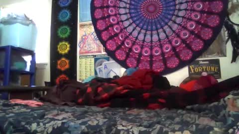 Snapshot of gardeniaspear chatting on February 2026 08:40:02 PM Gardenia online show from February 2026 08:40:02 PM